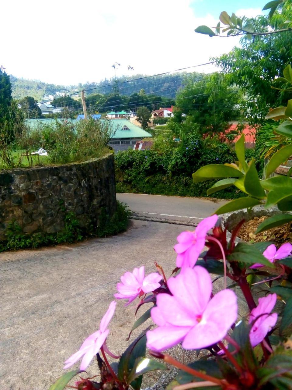 Nuwara Eliya Mountain View Homestay Exterior photo