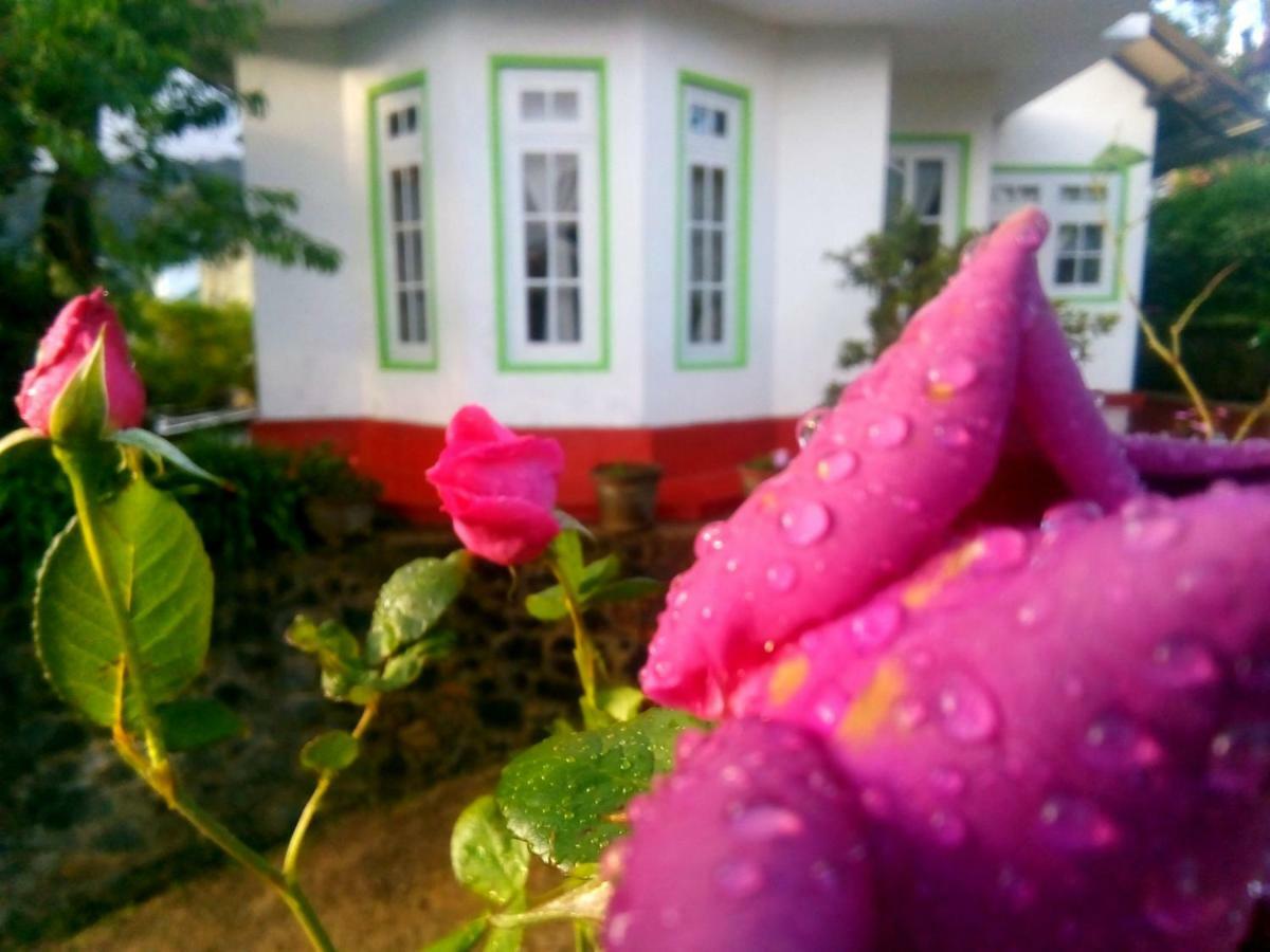 Nuwara Eliya Mountain View Homestay Exterior photo